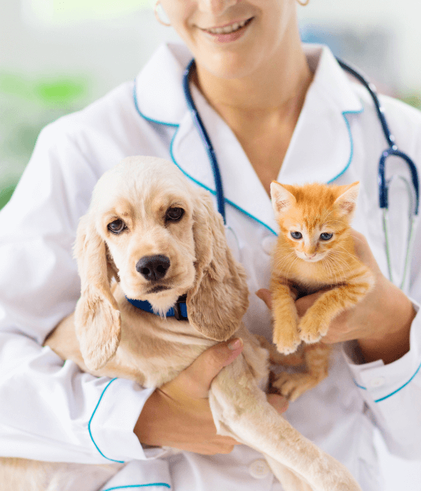 A person holding a dog and a cat